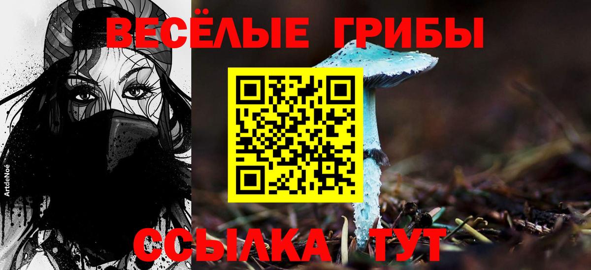 Псилоцибиновые грибы GOLDEN TEACHER  Псилоцибиновые грибы MAGIC MUSHROOMS  наркошоп  Вход с VPN  Клин 